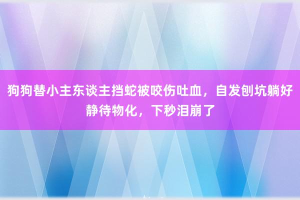 狗狗替小主东谈主挡蛇被咬伤吐血，自发刨坑躺好静待物化，下秒泪崩了