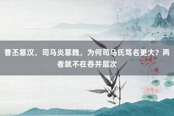 曹丕篡汉，司马炎篡魏，为何司马氏骂名更大？两者就不在吞并层次