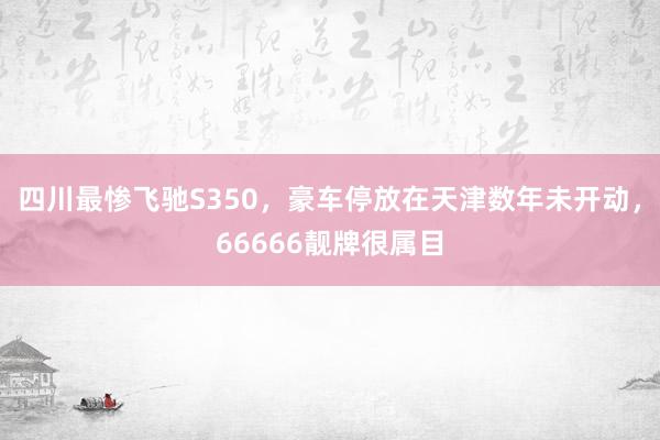 四川最惨飞驰S350，豪车停放在天津数年未开动，66666靓牌很属目