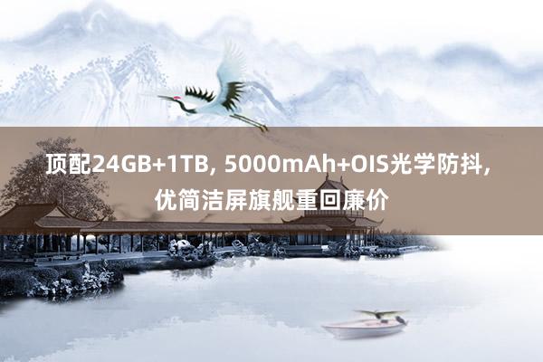 顶配24GB+1TB, 5000mAh+OIS光学防抖, 优简洁屏旗舰重回廉价